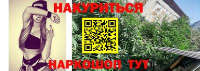 гашик Новодвинск
