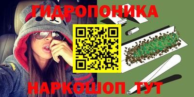 прущий лед Новозыбков
