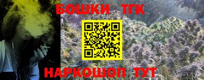 гашик Новодвинск
