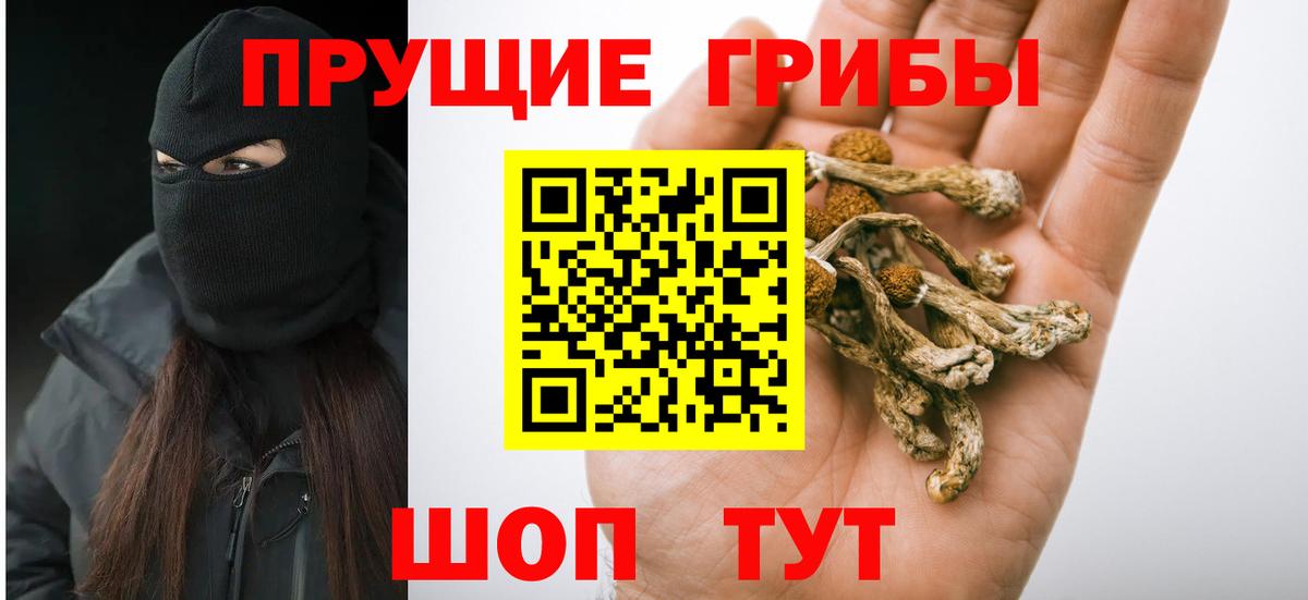 Пенза  Галлюциногенные грибы MAGIC MUSHROOMS  Галлюциногенные грибы мицелий  Вход с VPN 