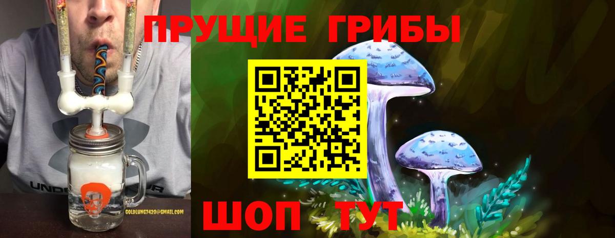 Псилоцибиновые грибы прущие грибы Пенза